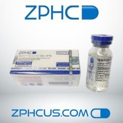 Testosterone MIX 250 mg/ml (Sustanon) 10 ml ZPHC