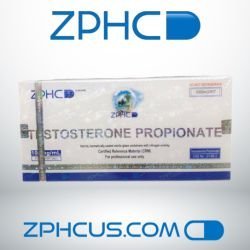 Testosterone Propionate 100 mg/ml, 1ml Ampoule (10 Ampoules) – ZPHC